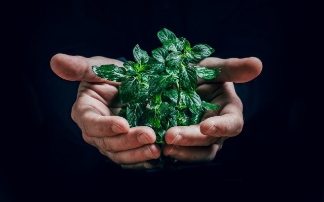 Stratégie ESG en entreprise : comment intégrer les critères environnementaux ?