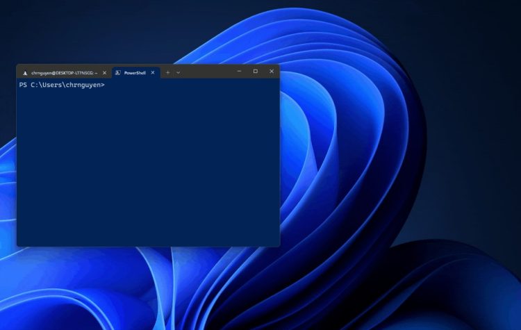 Windows 11 : correctif d’urgence pour le bug de connectivité lié au Patch Tuesday